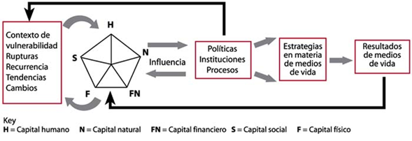 Marco de los medios de vida sostenible (MVS). Fuente: Organización de las Naciones Unidas para la Alimentación y la Agricultura (FAO) (s.f).