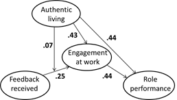 Standardized effects of the Moderated Mediation Model for Role Performance