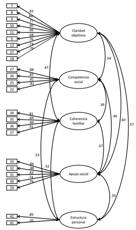 Estructura factorial de la RESIM