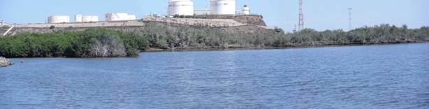 Porci&oacute;n del Humedal de Importancia Internacional 2025 