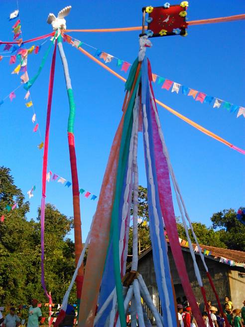 Mastro do Divino Esp&iacute;rito Santo (2014).