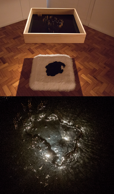 Fosso F&oacute;ssil, escultura (madeira, betume, agulhas de acupuntura banhadas a ouro e sal grosso) 