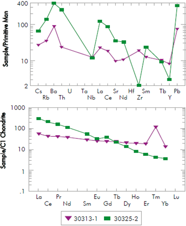 Trace elements normalized according to the Primitive Mantle; and Rare Earth patterns obtained from the samples analyzed in this study, normalized according to Chondrite CI (data taken from Sun and McDonough, 1989).