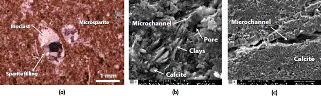 a) Photomicrograph in crossed polarized light of the claystones with fossiliferous carbonate concretions with pyrite, showing the occurrence of bioclasts replaced by calcite in a microsparite matrix, b) SEM image showing the occurrence of calcareous clay mineralogy and porosity associate to interparticle pores and microchannels. c) SEM image of a microchannel into a calcite matrix, which represents a pathway for gas flow.