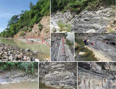 General outcrop features of the Galembo Member (La Luna Formation) in the Aguablanca section. Nonlaminated to slight laminated Wackestone (Ws), Claystone (Cs), Claystone fossiliferous (CsSi), Well-laminated, Claystone rich in organic matter (CsOm) and Carbonate Concretions (red arrow).
