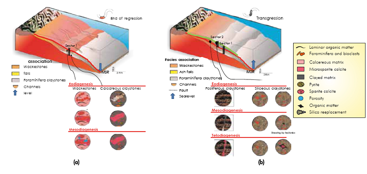 Sketches of the spatial distribution of the deposition sequence and diagenetic variations in the a) Lower and b) Upper units of the Galembo Member (La Luna Formation). MRS: Maximun Regression Surface (red line).
