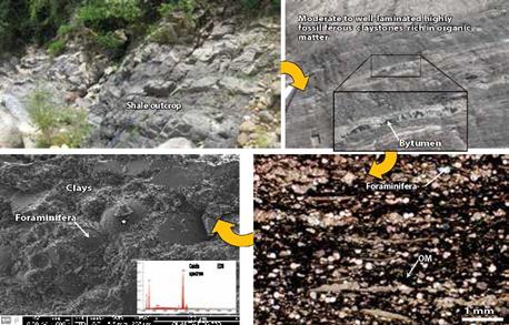Multiscale workflow to characterize the Galembo Member (La Luna Formation) in the Aguablanca section.