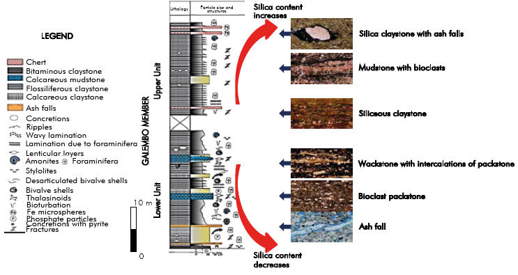 Generalized stratigraphic column of the Galembo Member (La Luna Formation) in the Aguablanca section, showing the sequence of microfacies.