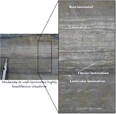 Photographs at outcrop scale of the moderate to we 11-laminated highly fossiliferous claystones rich in organic matter. Note the varying structural features: non laminated, lenticular and flasser structures.