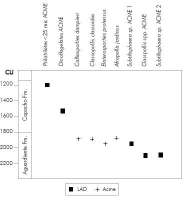 Sequence of identified events and its stratigraphie position in the composite section.