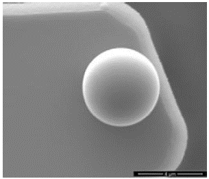 SEM image of SiO2 particle modified tip.