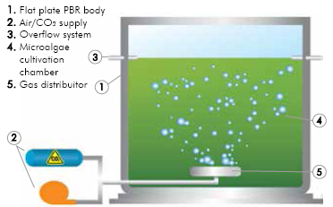 Flat plate photobioreactor unit.