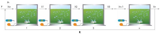 Continuous PBR in series with recirculation system, recirculation flow from n-th system is mixed with fresh medium before the first system