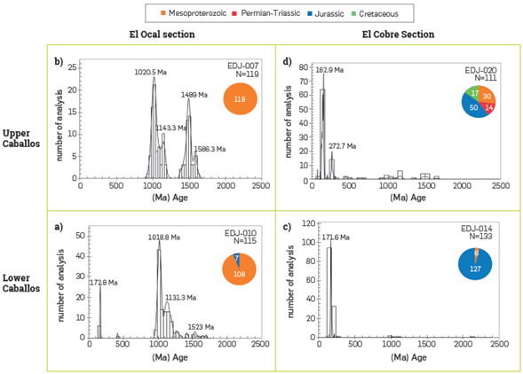Histograms on frequency and probability distribution for detrital zircons in the samples in the sections studied. Figures (a) and (b) represent the frequencies for the lower and upper members, respectively, in the Ocal section. Figures (c) and (d) relate to the frequencies for the lower and upper members, respectively, of the Caballos Formation in the Cobre section.