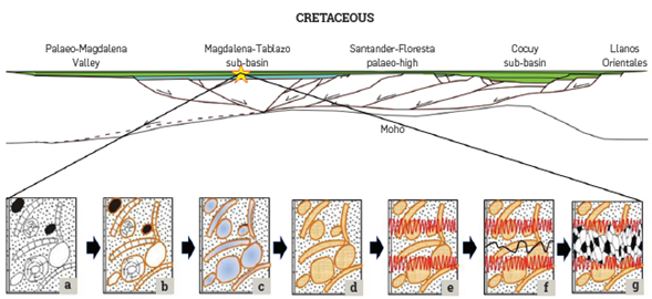 Diagram illustrating the sequence of diagenetic processes experienced by the Rosablanca Formation in the area of Mesa de Los Santos (star) (a) beginning of diagenesis, (b) development of micrite, (c) dissolution, (d) precipitation of orthochemicals, e) compaction and styolite formation, (e) fracturing, (f) generation of granular aggregates (BT). These processes occurred locally, influenced regionally by a distensive context that was predominant in the Cretaceous. Modified image from Sarmiento [18].