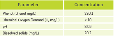 Physicochemical characterization of synthetic Kraft effluent.
