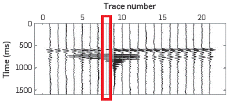 (Top) Original traces (zoom over 21 traces) with 10 traces removed.