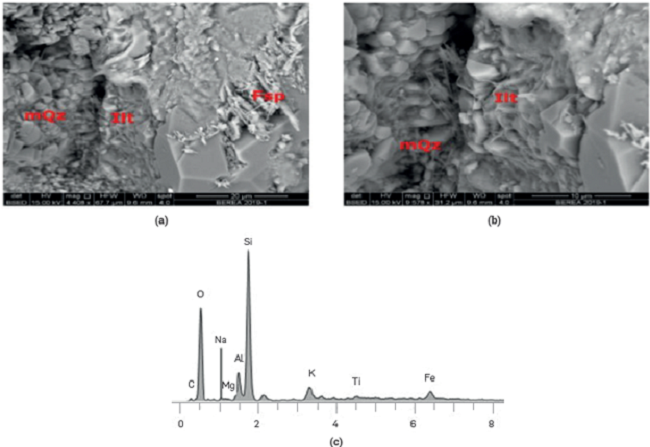 Images and elemental composition of the Berea. Quartz with some clay minerals (Kaolinite and lllite) Electron Microscopy Laboratory. Centro de Innovación y Tecnología, I.CP.