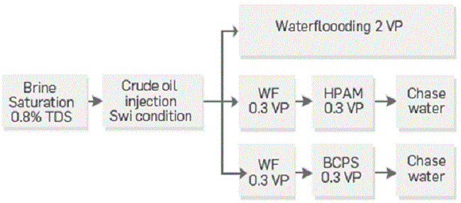 Injection sequence plan flow evaluated in the three displacement efficiency tests.