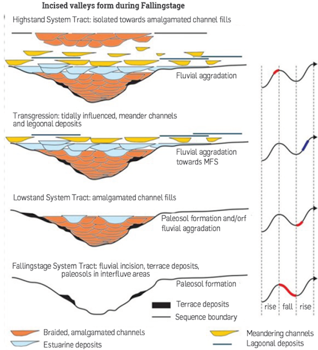 Illustration of how sedimentation occurs in an incised valley during the different stages of base level fall and rise (Modified from [36]).