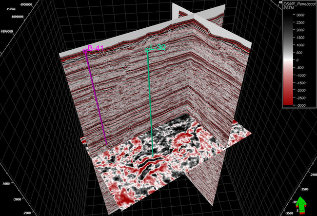 3D seismic survey and correlation wells used in the application.