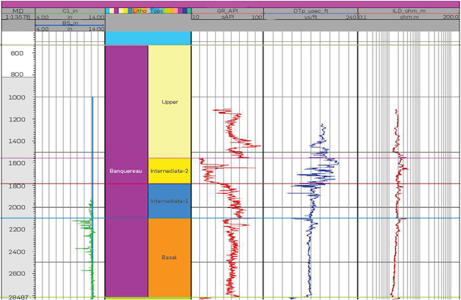 Well logs available in the interval of analysis for one of the correlation wells.