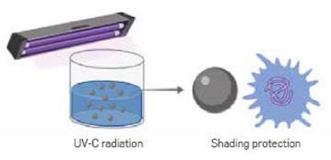 Effect of suspended solids in radiation water