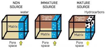 Schematization of solid and fluid components in source and non-source rocks.