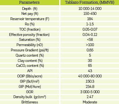 Data reported in the literature concerning Tablazo formation and Flecha X well study.