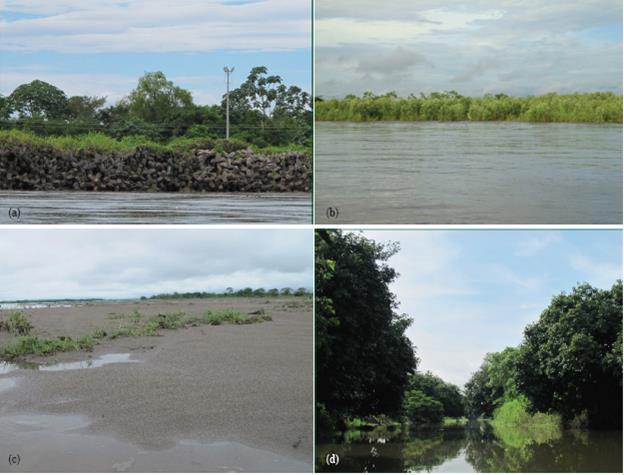 ESI-R for certain areas of the Magdalena River. (a) ESI-R 7; (b) ESI-R 8; (c) ESI-R 9; (d) ESI-R 10.