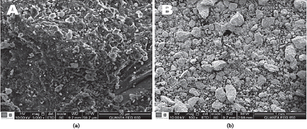 SEM images of the (a) NZ and (b) ASNZ.