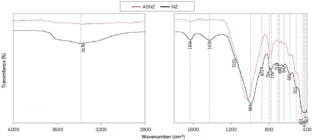 ATR-FTIR spectra of the NZ and ASNZ.