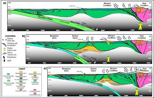 Simplified regional cross section from the Real Cordillera through the Western Cordillera to the Southern Manglares -Borb&oacute;n forearc basin according to the section of Fig. 20 B. Megasequences shown in the section are based on the sequence stratigraphy (see the paleogeographic position of each section in the Fig. 21). At 40 Ma (a), the restoration suggests westward blocky faulting (transpression) and eastward thrusting of slides of oceanic plateau and volcanic rocks. At 10.5 Ma (b), at top of the megasequence 2 the restoration suggests tectonic erosion (=50 km) and shortening (=30 km) during the Nazca plate subduction rate increasing. The restoration at the top of the megasequence 1 (c), suggests others =50 km of section shortening, = 30 km of eroded margin and slow basement subsidence in the Borb&oacute;n basin. Probably partially hydrated to dehydrated mantle wedge process occurs by the subducting plate changes (Farallon to Nazca) and their convergence velocities variations [21]; [85], which favored the overriding plate alteration and the formation of subcrustal duplex by tectonic erosion, which divided the forearc basin zone in the Manglares and Borb&oacute;n basin.