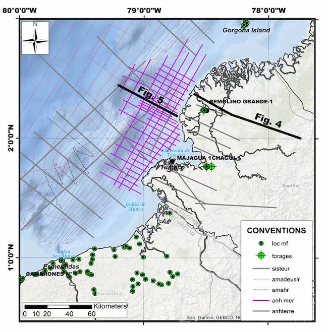 Location map of the seismic reflection profiles (surveys), wells, biostratigraphic localities (loc mf) used to build the facies distribution maps.