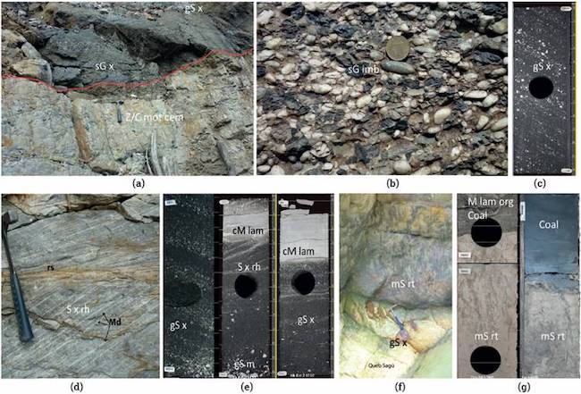 Facies of lower Eocene in the Foothills outcrops and middle Eocene in the Llanos Basin cores, (a): Conglomerate facies (sG x), over intensely-weathered paleosol of the Paleocene (Z/C mot cem); this paleosol defines the unconformity at the base of the Eocene (red line), (b): Detail of conglomeratic facies in outcrop (sG imb). (c): Conglomeratic sandstones with plane cross stratification (gS x) in well core, (d): Cross stratified sandstone with mud drapes (md) and reactivation surface (rs). (e): well core, stratified sandstone (S x rh) with mud drapes (Md), and clayey, laminated mudstone (cM lam) between sets of coarse cross stratified sandstone (gS x; Sx rh). (f) and (g): Outcrop and core image of rooted and mottled muddy sandstone (mS rt), compound paleosol above conglomeratic sandstone (gS x); in cores,this facies could reach 4m and is capped by coal or carbonaceous mudstone (M lam org), above the rooted sandstone. ((a),(b),(d) and (f): Sagú creek, (c), (e) and (g) (left): Acacias-Chichimene. (g): Camoa field.