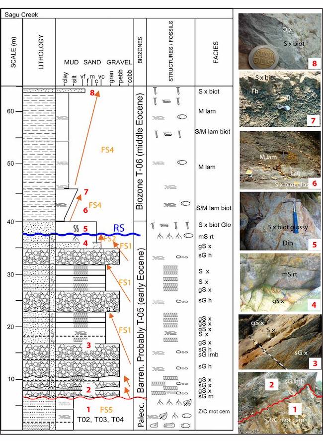 Lower - middle Eocene facies successions in the Sagú creek, Foothills. From base to top, the (FS5) intensely-weathered paleosol (Z/C mot cem) below the unconformity at the base of the Eocene (red line). Above the unconformity, five amalgamated braided conglomerate and sandstones (FS1). The coastal plain compound paleosol horizon (FS2) caps the FS1. The wave ravinement surface (RS) eroded the paleosol and Diplocraterion Habichi (Dih) marks the beginning of marine transgression. Above the ravinement surface, there are two shallow marine facies successions (FS4), (see text for explanation of facies and facies successions).