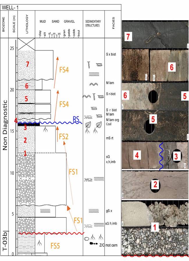 Middle Eocene fluvial and marine facies successions in Well 1, western side of the SLLB. At the bottom the extensively-weathered paleosol (Z/c mot cem), below the unconformity. Two cycles of braided conglomerate and sandstone (FS1). The coastal plain compound paleosol horizon (FS2), capped by a thin layer of coal. The wave ravinement surface (RS) erodes the coal layer. After the ravinement surface, there are two shallow marine facies successions of mudstone and sandstone (FS4). The ravinement surface separates the fluvial from the marine facies.