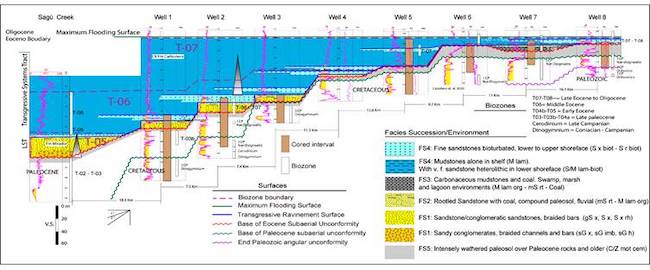 Correlation of outcrop section in the Foothills and wells in the SLLB. It shows the facies successions and stratigraphic surfaces detailed in this study along the area. At the bottom of the studied interval, the correlation shows the intensely-weathered paleosol of late Paleocene overlayed unconformable by the fluvial braided facies succession FS1. The FS1 is, in turn, overlaid by the compound paleosol dated as middle Eocene (Lutetian) and a layer of coal or carbonaceous mudstone (FS1-FS2-FS3) of the lower Mirador Formation. These rocks were deposited in the earliest-middle Eocene under low accommodation conditions. The wave ravinement surface erodes the deposits below and marks the initial transgression. The marine facies successions deposit above the ravinement surface. The deposits of carbonaceous mudstone and coal to the east in well 7 are correlatable with the marine facies to the west.