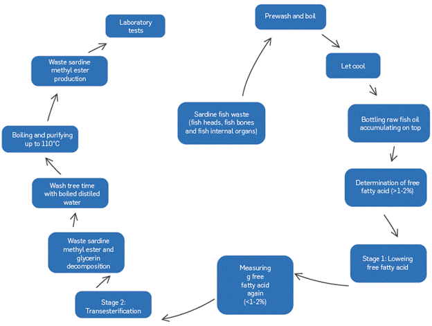 A flow chart showing the stages of biodiesel production from sardine fish waste