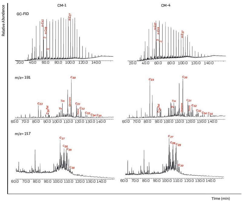 Representative n-alkanes and acyclic isoprenoid alkane pristane (Pr) and phytane (Ph) gas chromatograms (GC-FID) and mass fragmentograms of terpanes (m/z = 191) and steranes (m/z = 217) for two selected oil samples.