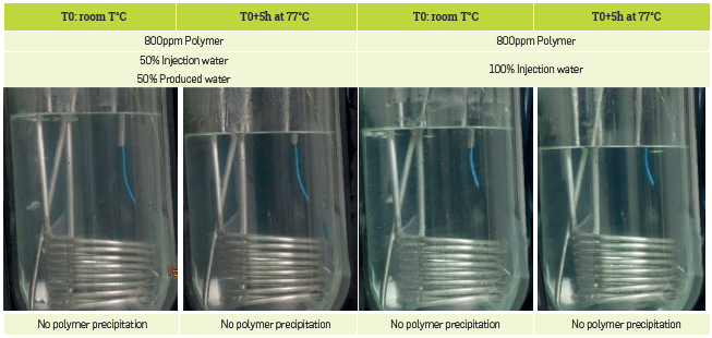 Visual observations of the cloud point tests at room temperature and after 5h of heating time at 77&deg;C.