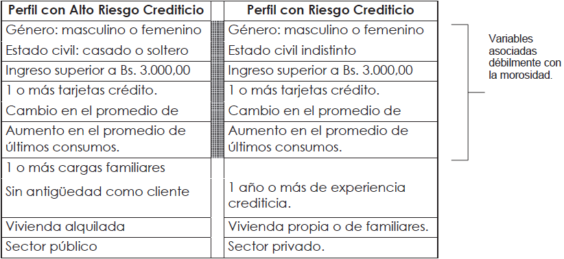 Cuadro N&ordm; 5. Perfiles de tarjetahabientes