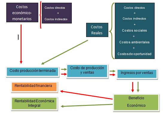 Flujo de
costos y rentabilidad.