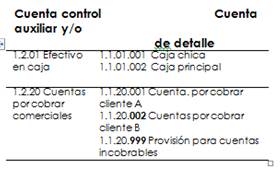 Cuentas auxiliares y/o de detalle (catálogo de cuentas de 4 niveles) 

 