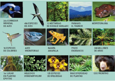 Biodiversidad en La Estancia La Bravera