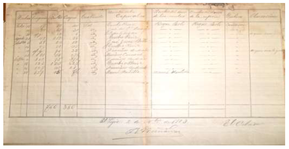 Gu�a de las cargas entregadas