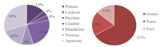 Gr�fico N� 4. Regi�n de los Valles del Tuy, Venezuela: Producci�n agr�cola, a�o  2007