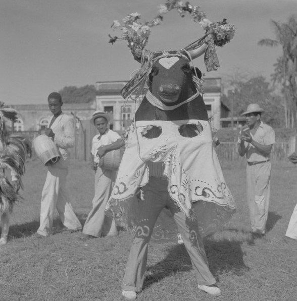 Pesquisa oral e fotográfica sobre o Bumba-meu-boi em Belém, Pará