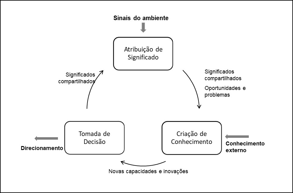 O ciclo de conhecimento na organizao