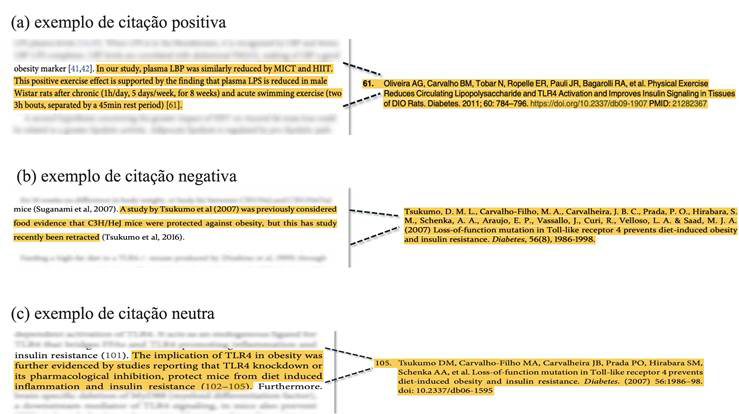 Exemplos das categoriza��es adotadas com base na metodologia